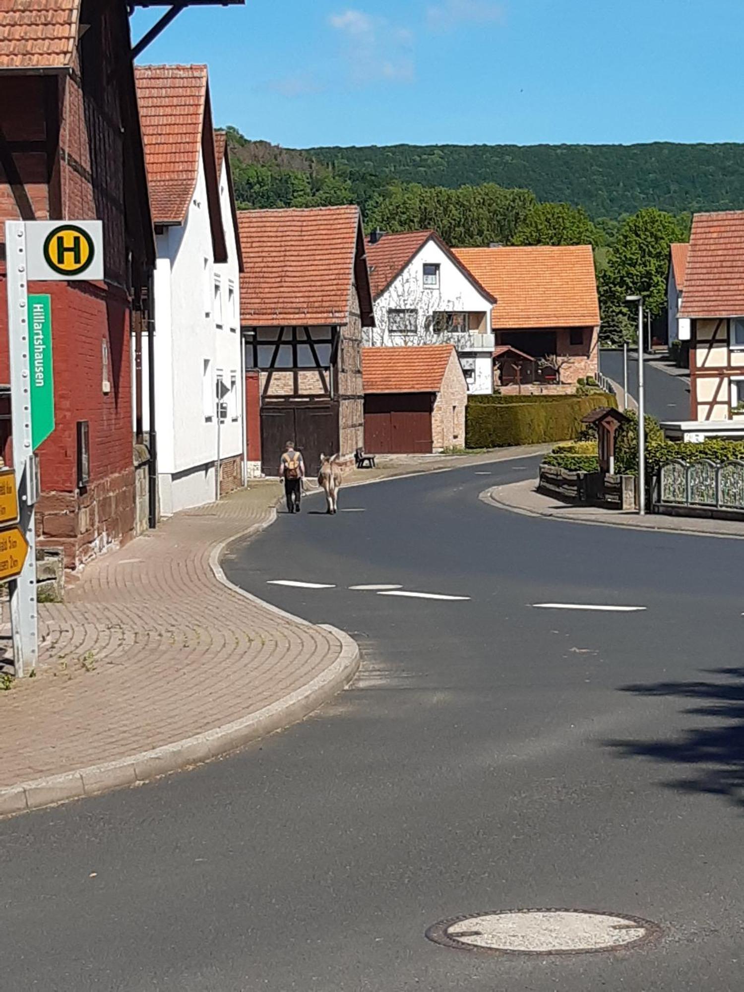 Ferienwohnung, 30 Qm Friedewald  Luaran gambar